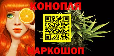 стафф Заводоуковск